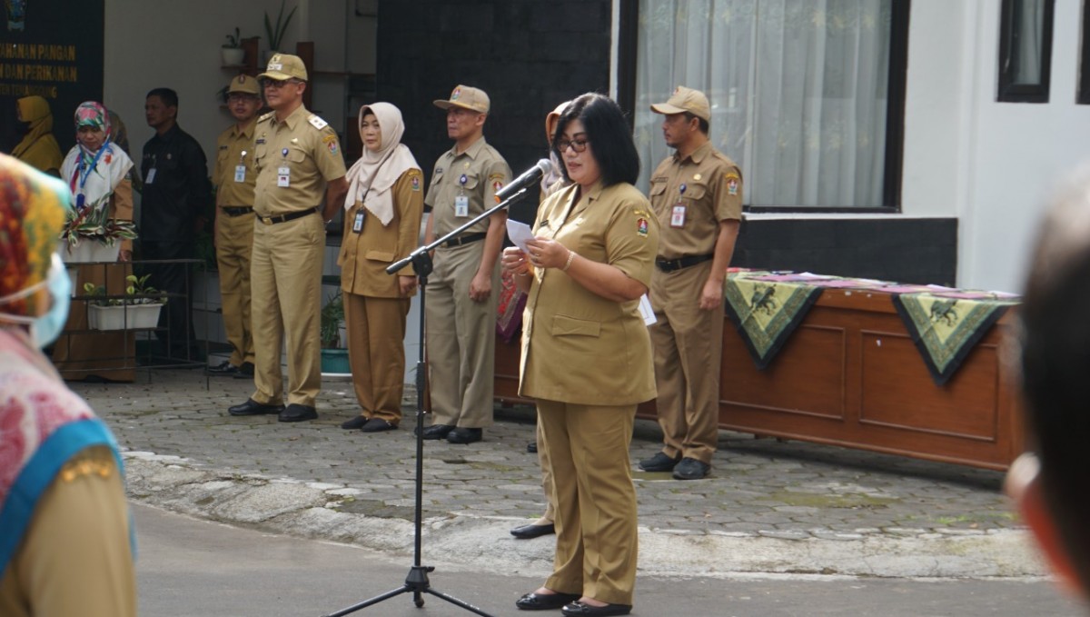 Mengenal Karakteristik dan Kualitas Tembakau Srinthil Temanggung